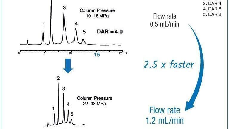 High throughput DAR determination of brentuximab vedotin